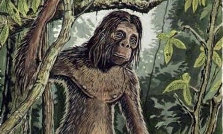  La Leggenda di Orang Pendek: Un mistero peloso tra le montagne indonesiane!